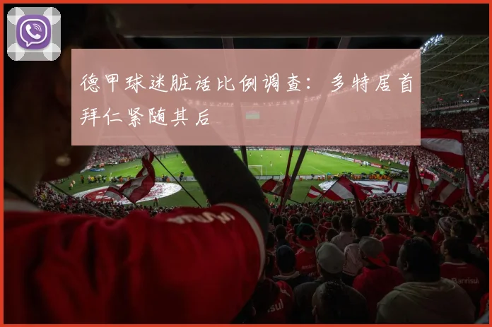 德甲球迷脏话比例调查：多特居首拜仁紧随其后